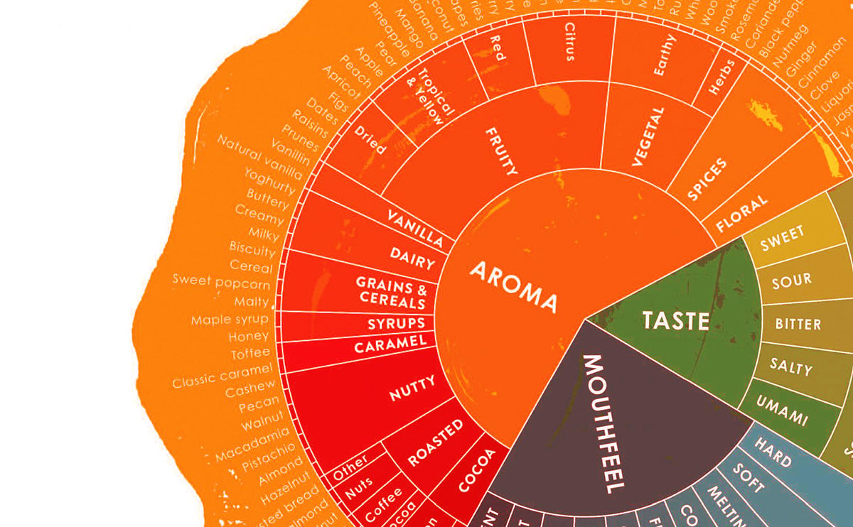 Chocolate Tasting And The Five Senses
