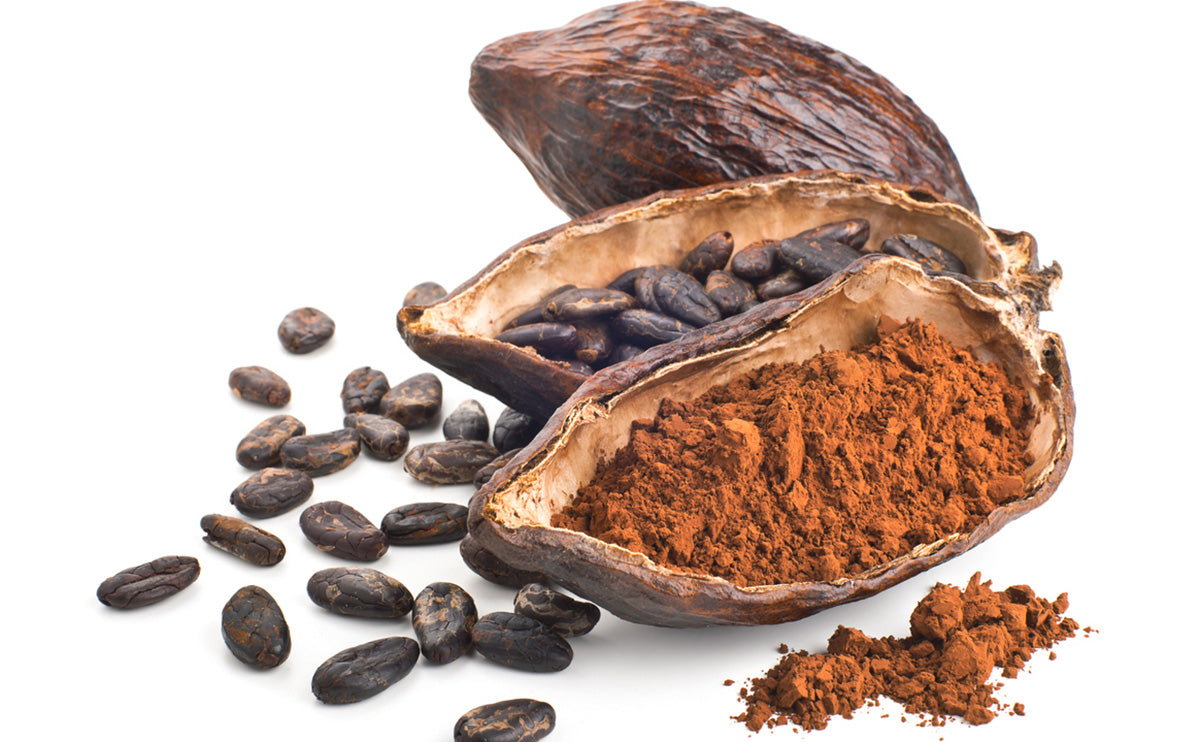 Are Cocoa Beans An Endangered Species?