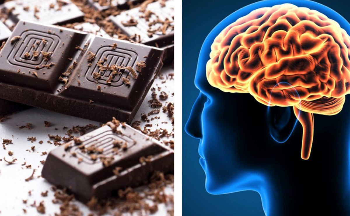 Chocolate can boost your brain power!