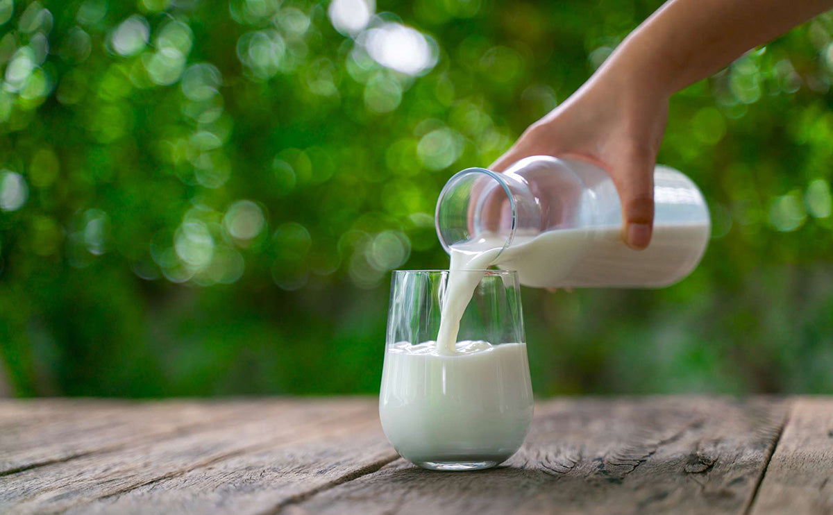 The Benefits Of Drinking Milk After A Workout